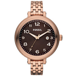 Uhrenarmband Fossil AM4389 Rostfreier Stahl Rosé 12mm